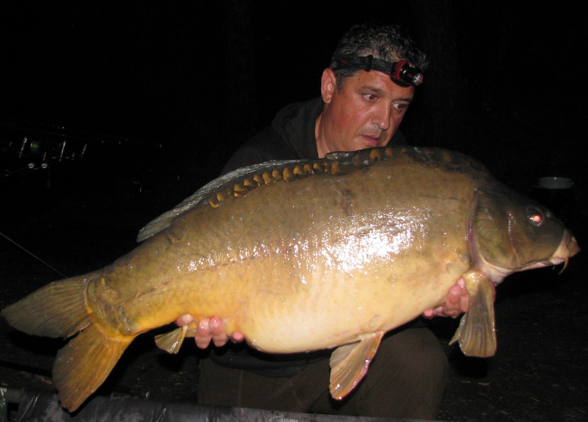 Pelagicevo Jezero - final iunie 2015 - img2271.JPG